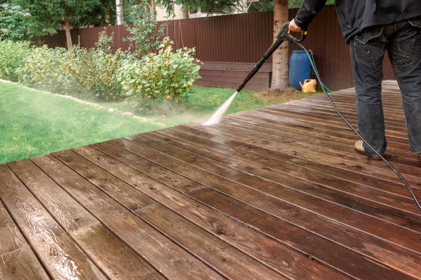 Best Soft Washing  in Earlysville, VA